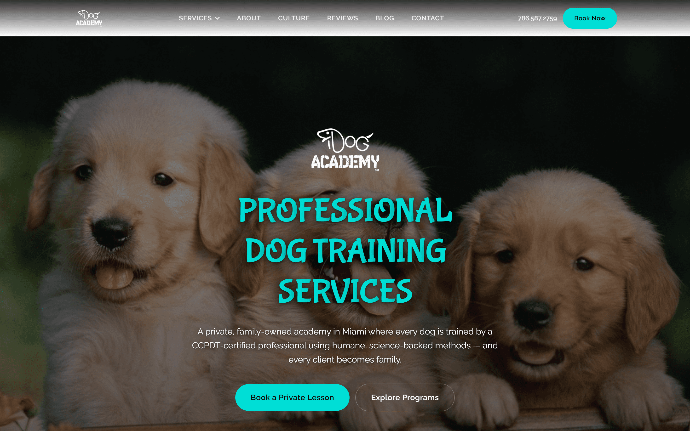 The iDog Academy website